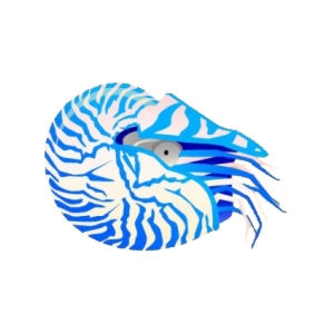 Icy Blue Nautilus